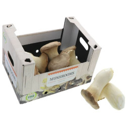 CHAMPIGNON ERYNGII-CEPE DE COREE 4KG